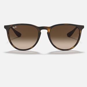 Ray Ban Erika Sunglasses